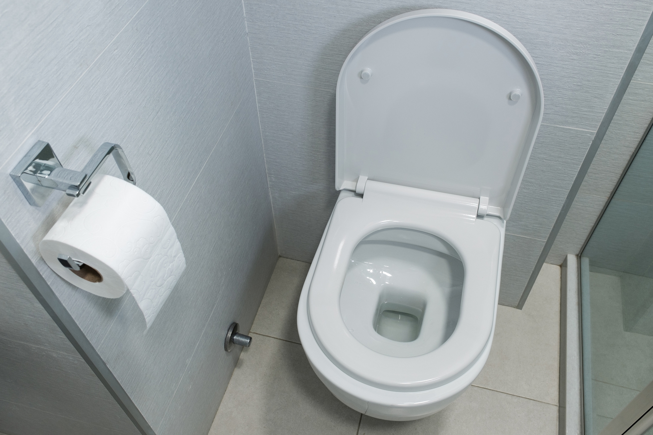 toilet
