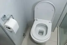 toilet