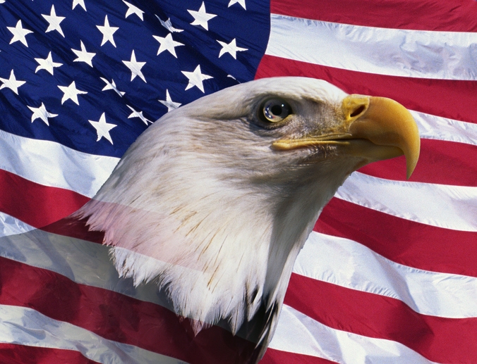 Eagle in front of US flag