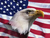 Eagle in front of US flag
