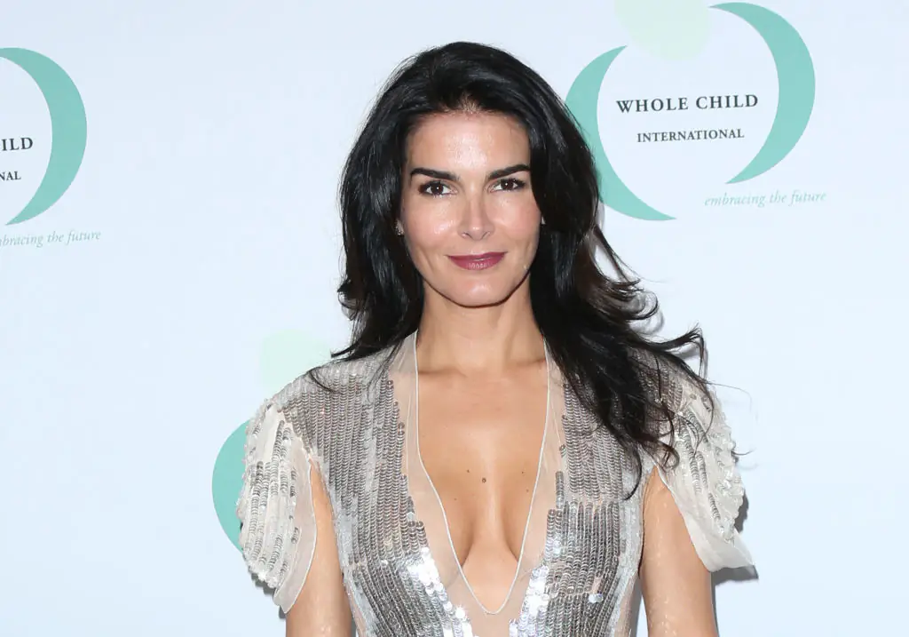 Angie Harmon 