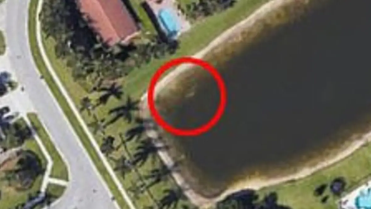 Florida Man Missing For 22 Years Was Found In Pond After His Submerged ...