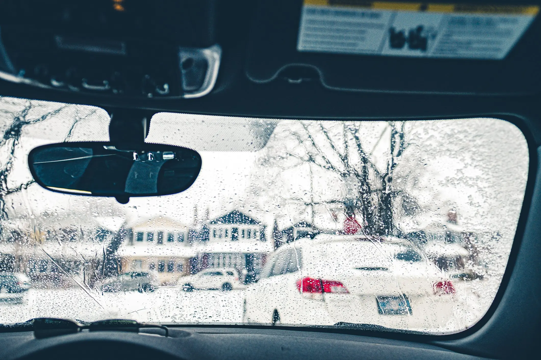 Those dots actually have a lot of important functions. Credit: FOTOGRAFIA INC. / Getty