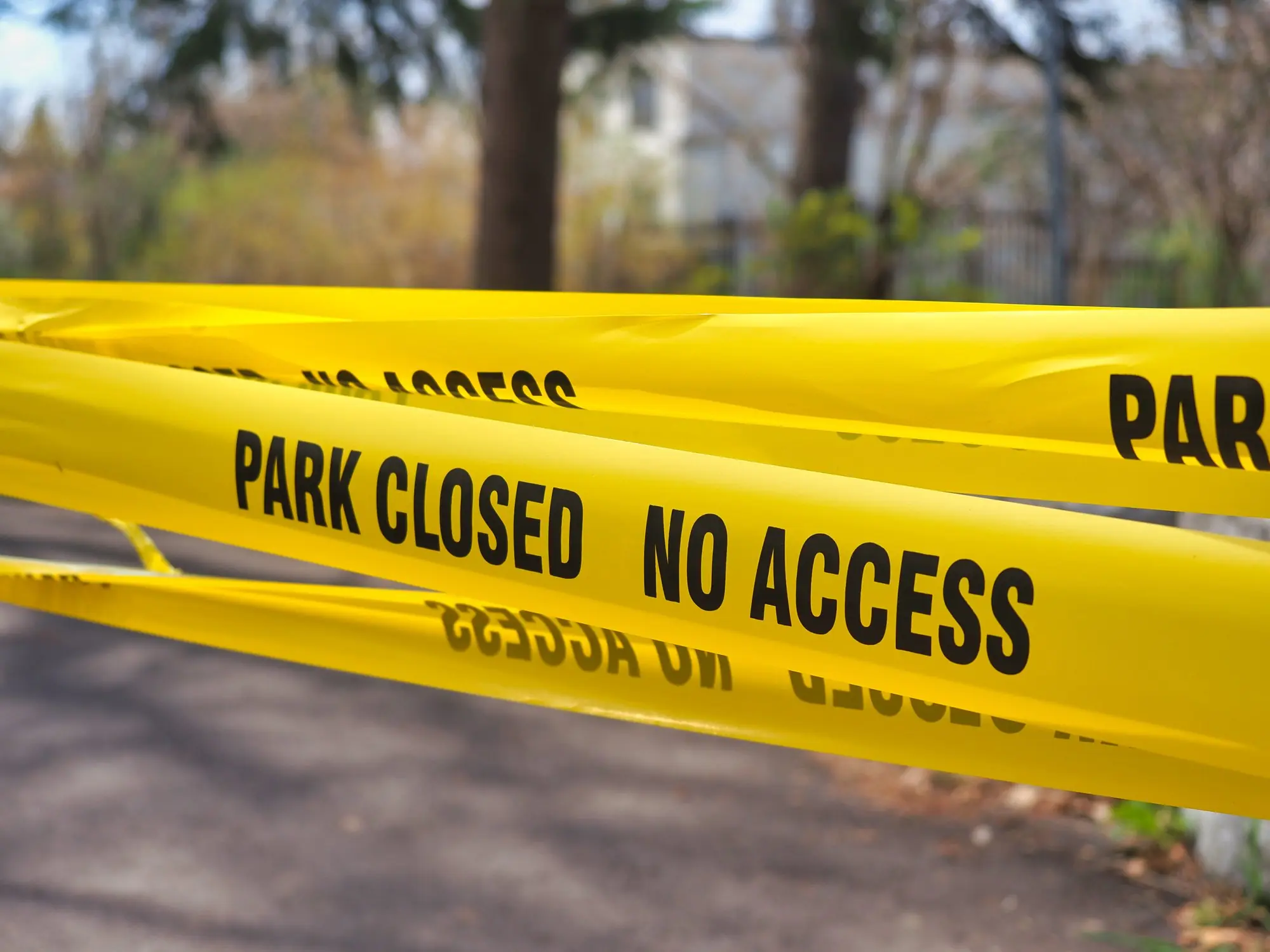 Credit: Jane Khomi / Getty