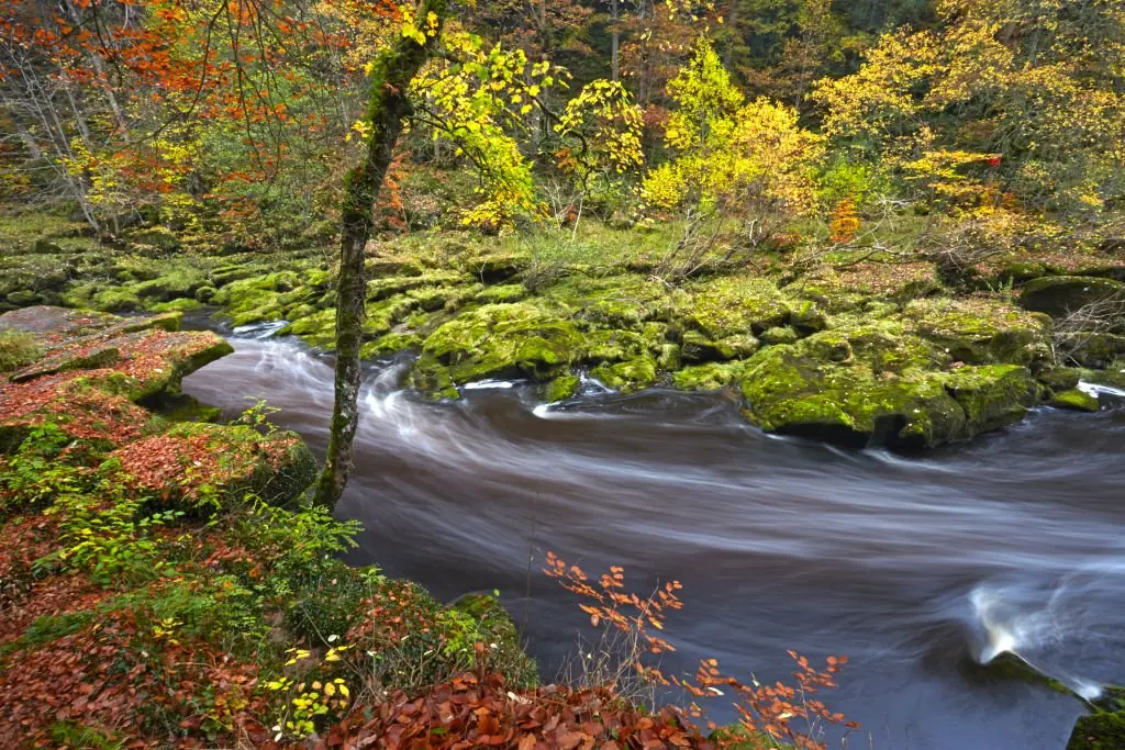 A YouTuber used a GoPro to capture what lies beneath The Strid. Credit: Loop Images / Getty