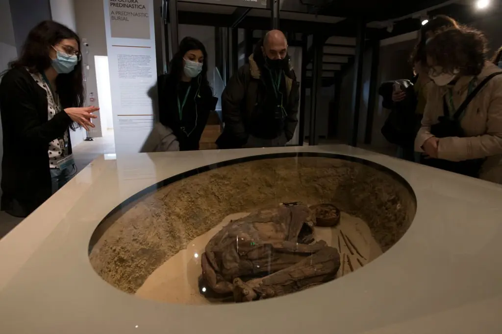 Samples of the Black plague were found in a mummy in Italy. Credit: Stefano Guidi/Getty