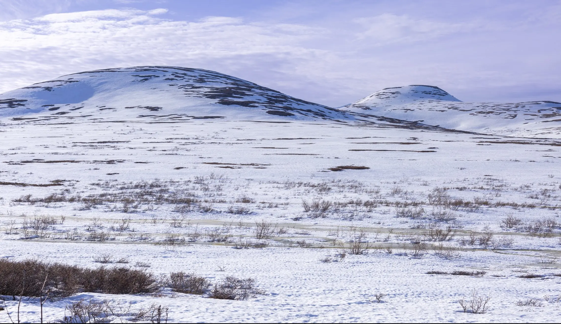 The plane vanished near Nome, Alaska, on Thursday afternoon. Credit: 	Lea Scaddan/Getty Images