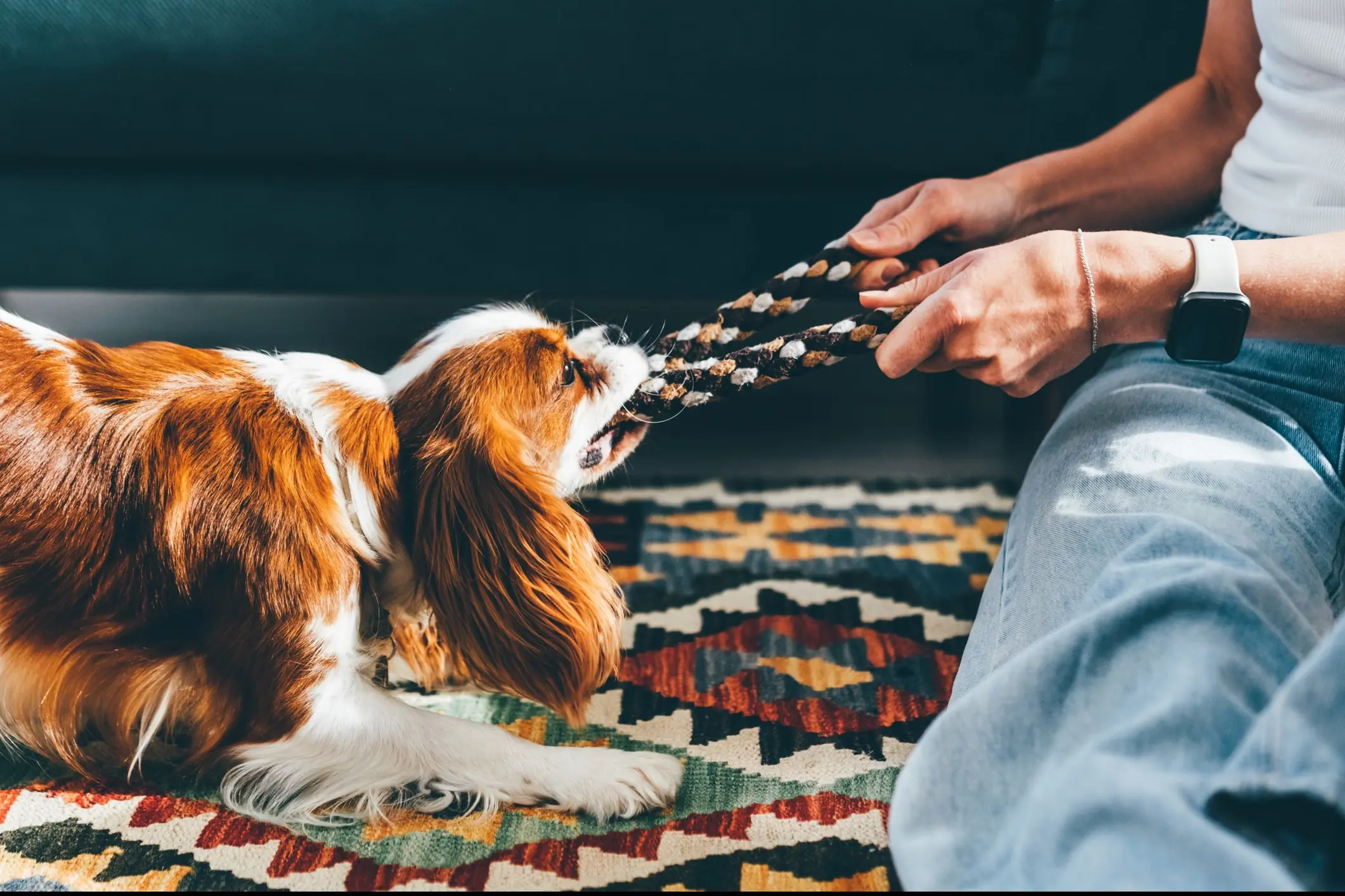 The seemingly innocuous video raised red flags among some viewers... (stock image) Credit: Maria Korneeva/Getty Images 