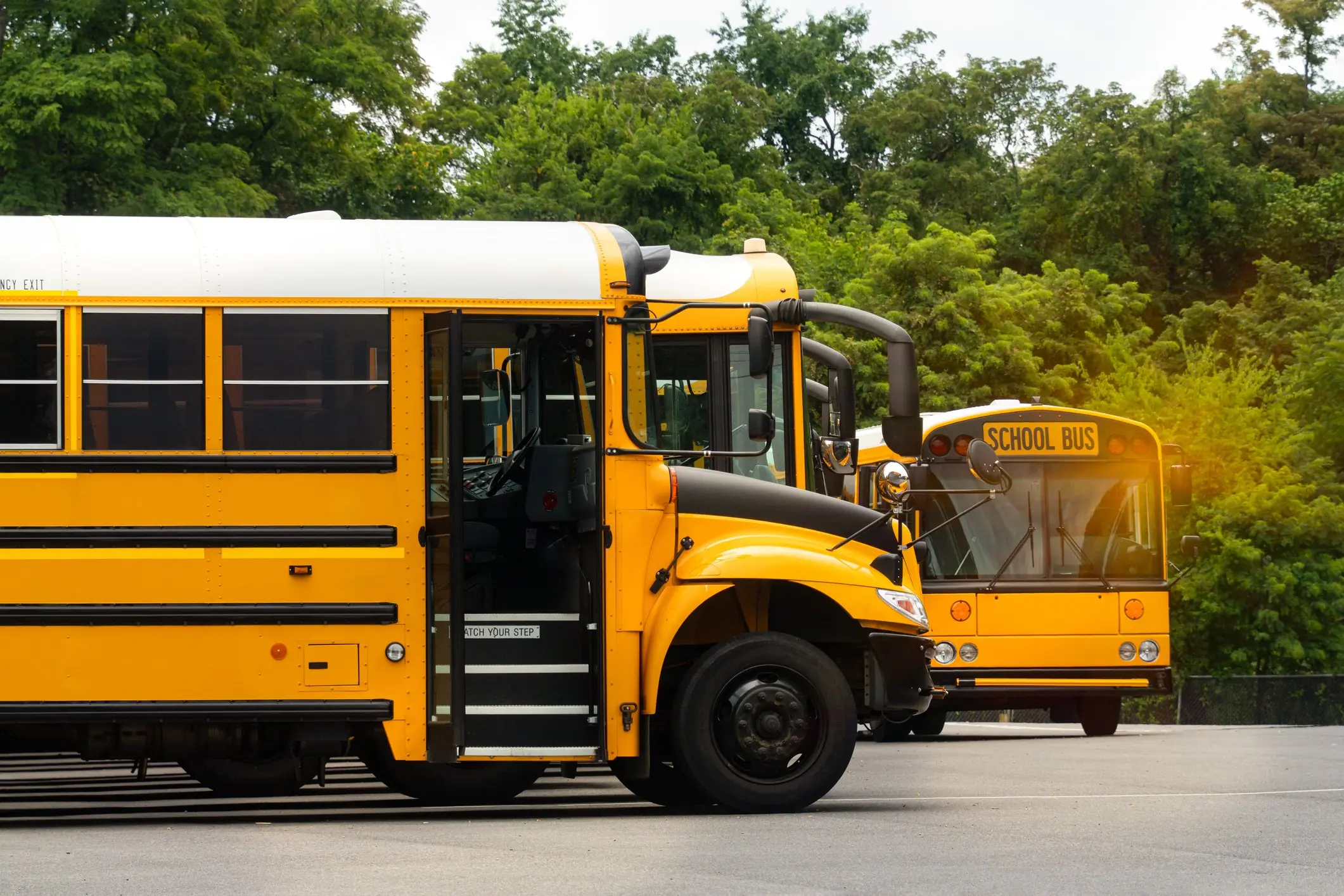 Credit: Marcia Straub / Getty