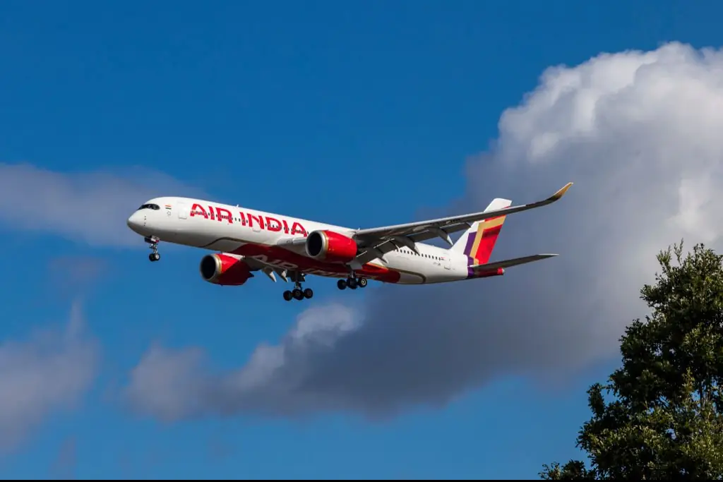 Credit: NurPhoto / Getty