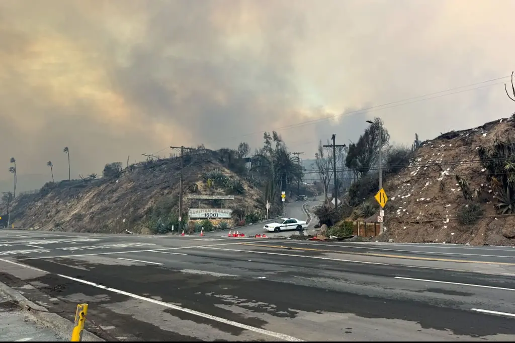 The impact of the wildfires on the Sunset Boulevard. Credit:	Bellocqimages/Bauer-Griffin / Getty