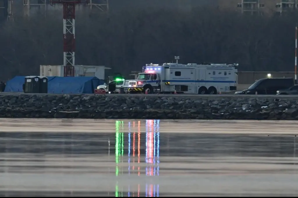 The search has been switched to a 