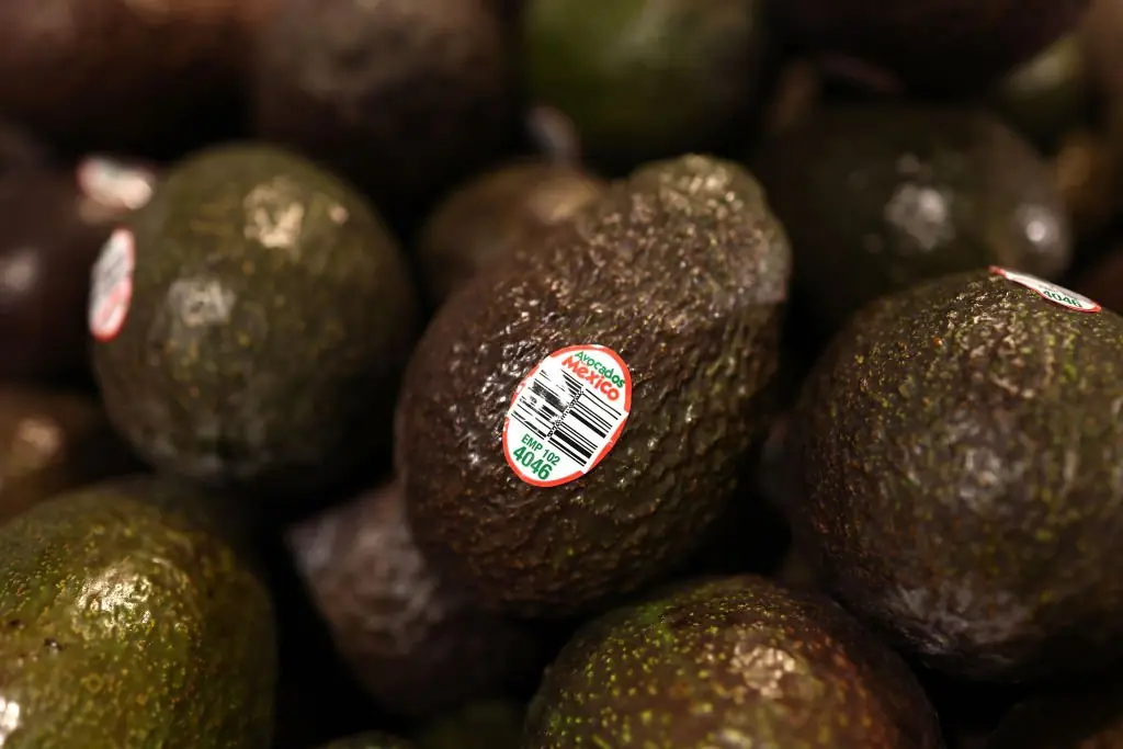 Avocados could see a price rise. Credit: Michael M. Santiago / Getty