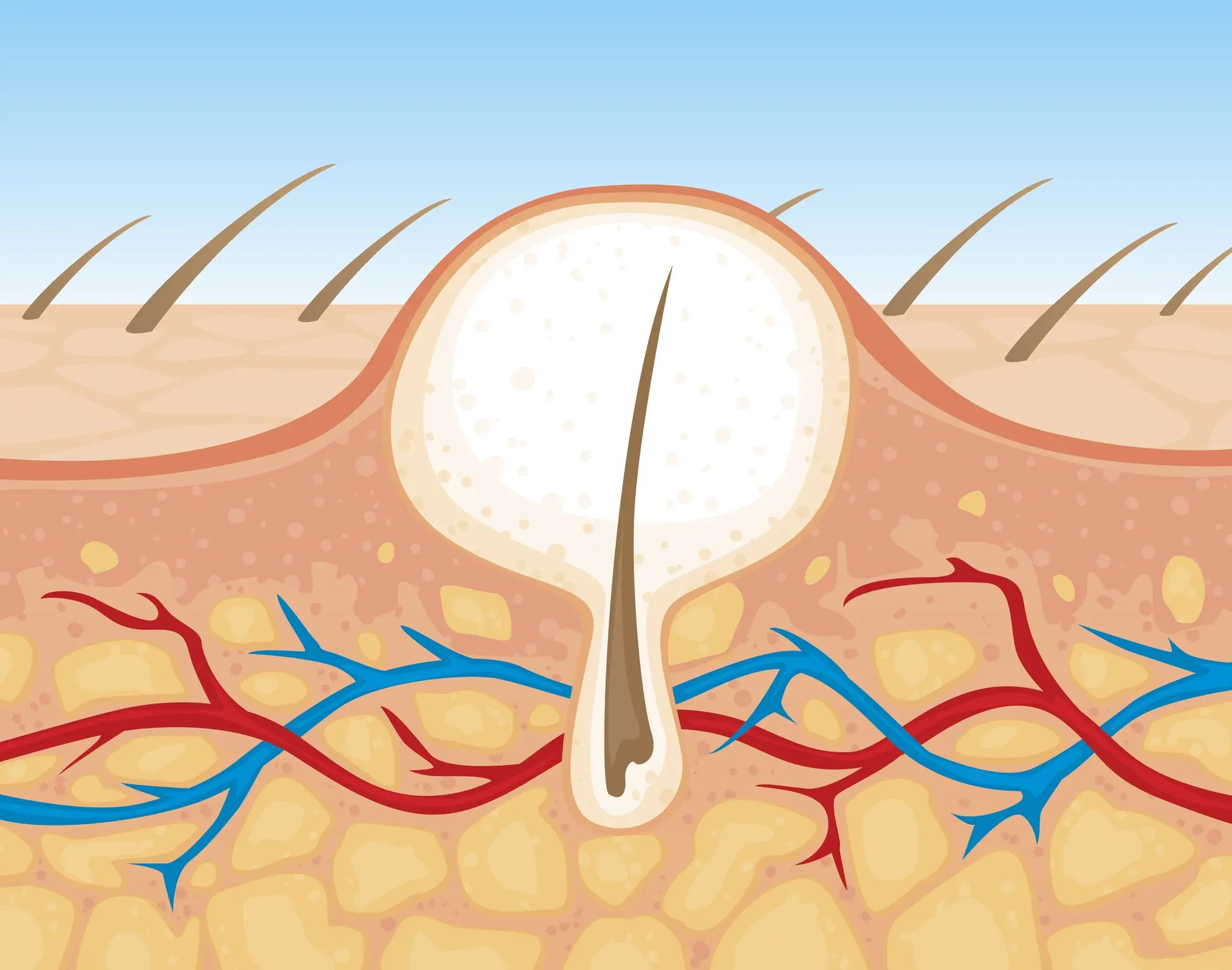 Credit: Big_Ryan / Getty