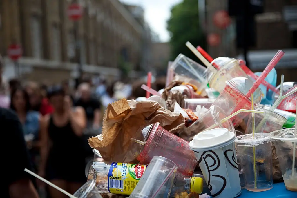 Single-use plastics have become a huge environmental issue. Credit: Mike Kemp/Getty Images