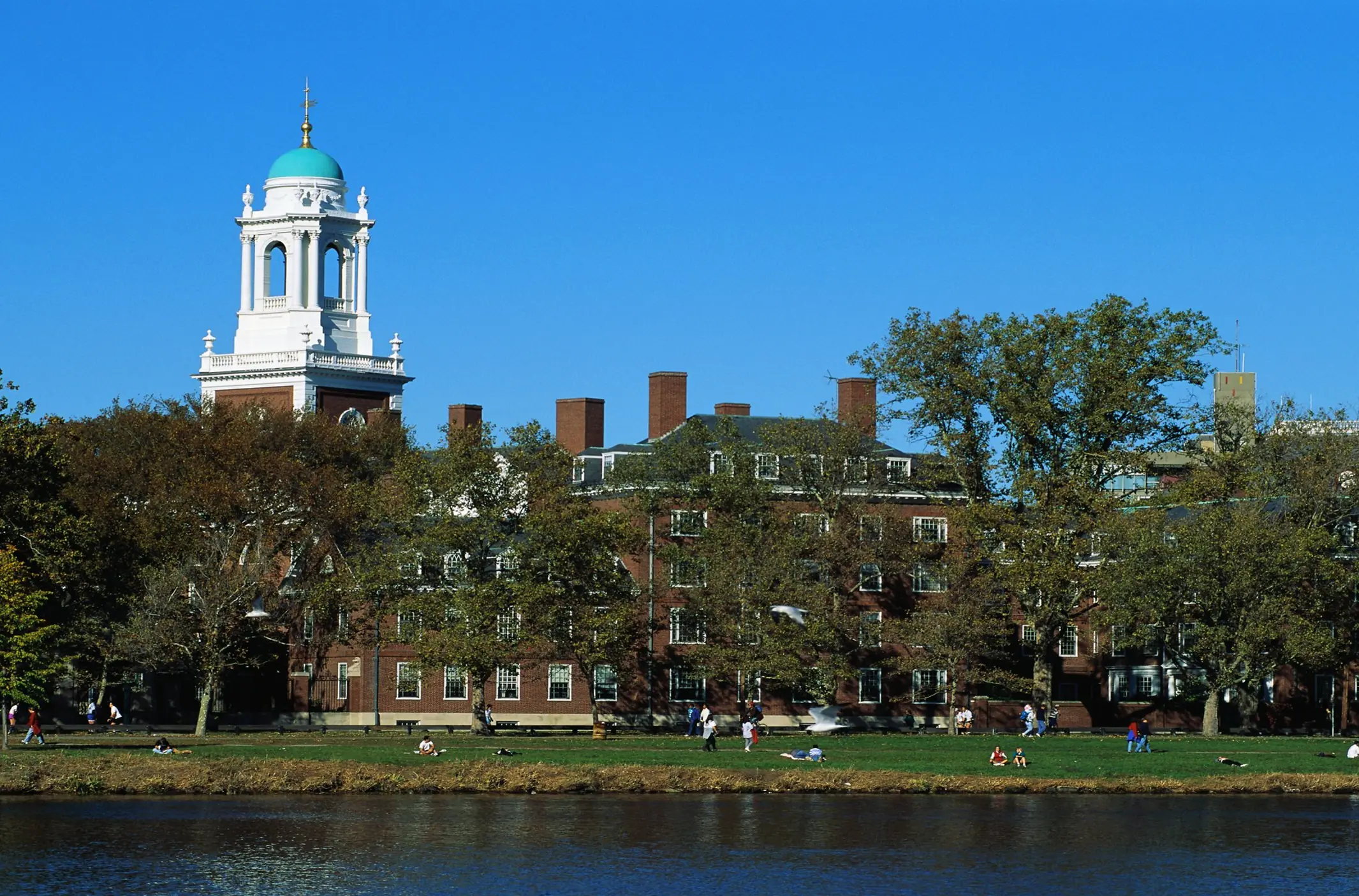 Harvard has had its funding cancelled. Credit: Bill Ross / Getty