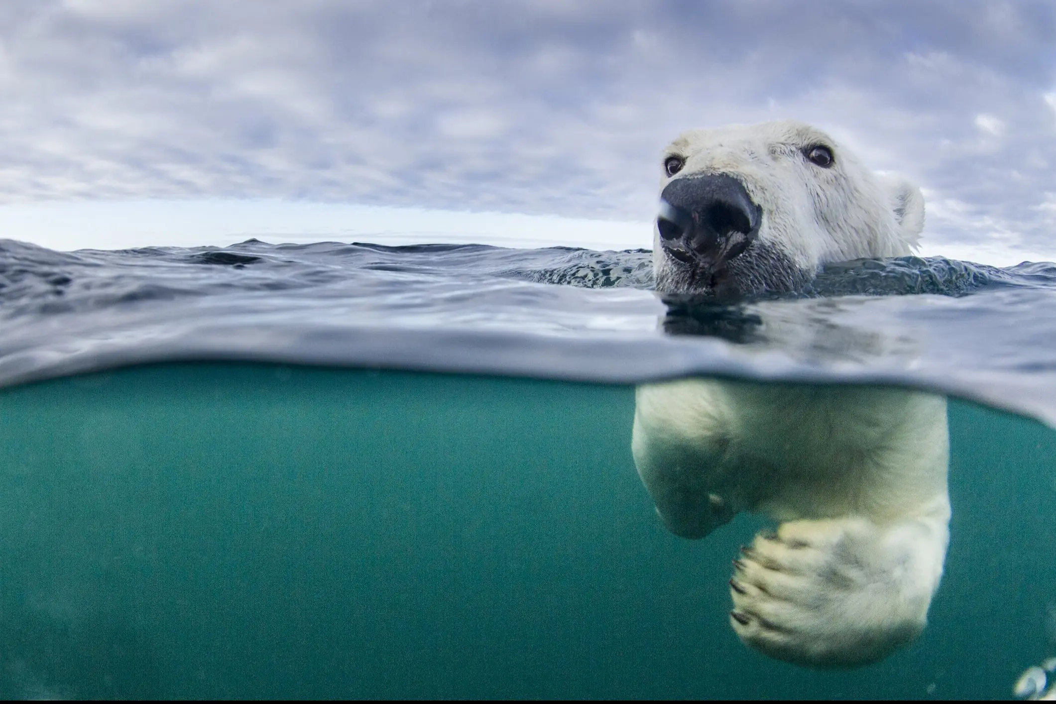 Credit: Paul Souders / Getty