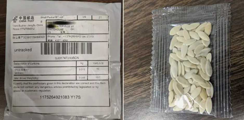 Crenshaw decided to plant the odd seeds. Credit: Whitehouse Police Department/Facebook