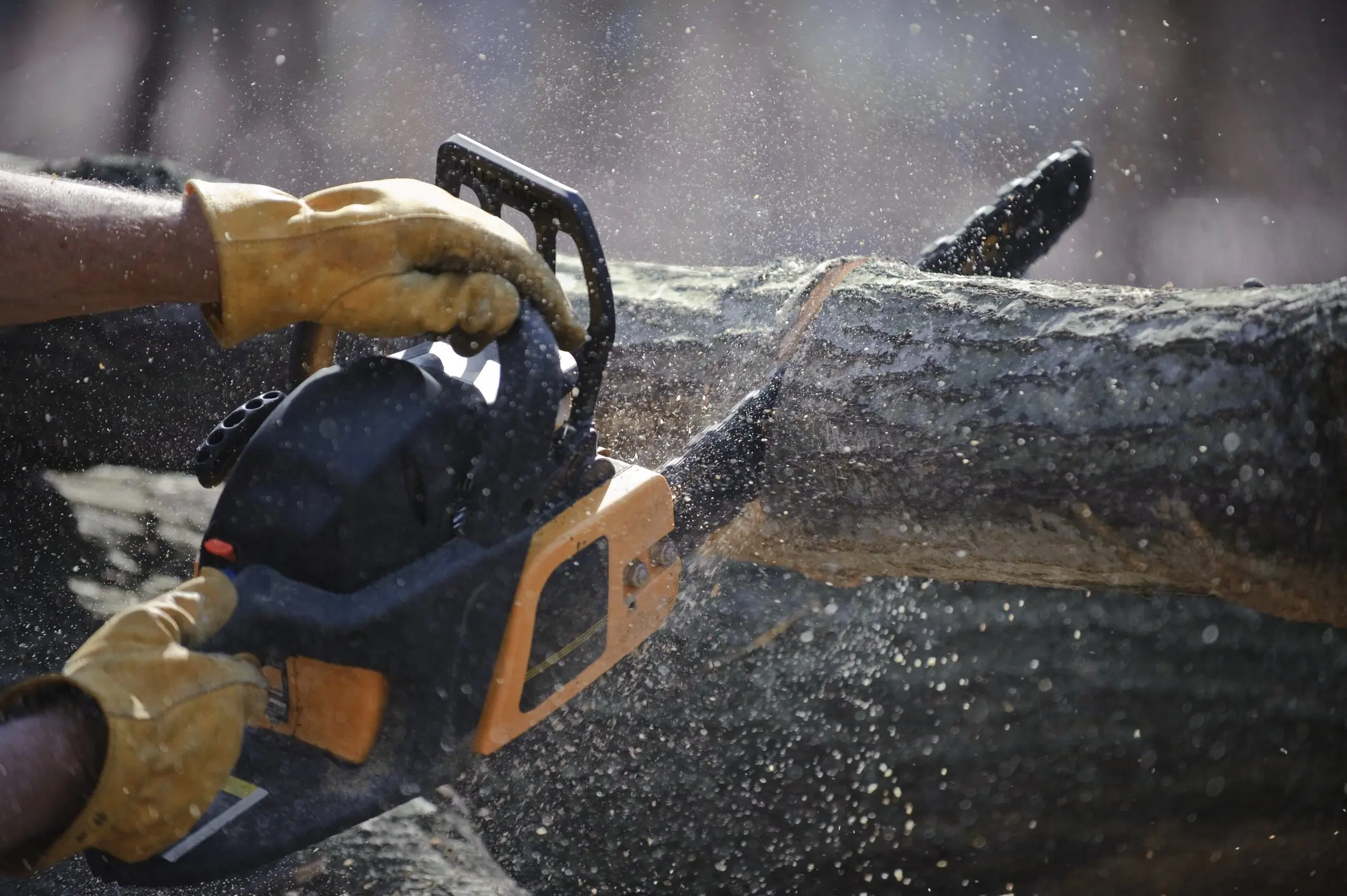 Chainsaws weren't originally invented to cut down trees. Credit: edelmar/Getty