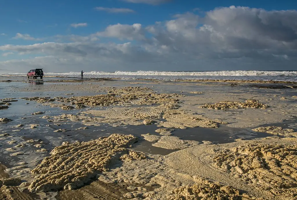 Credit: George Rose / Getty