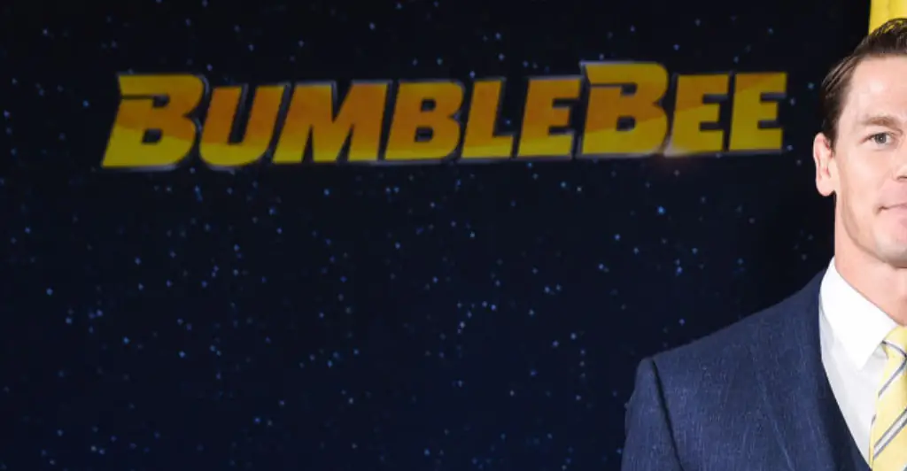 John Cena reveals why he'll never have children