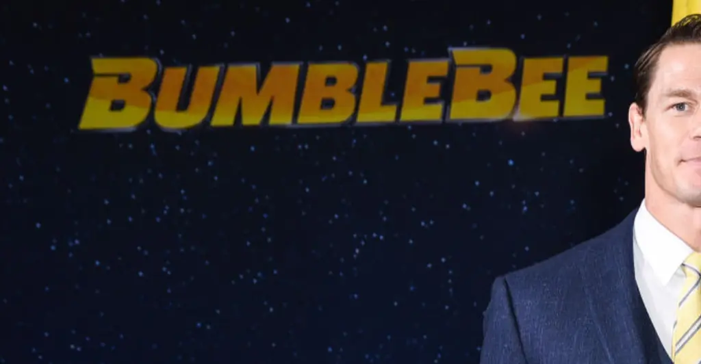 John Cena reveals why he'll never have children