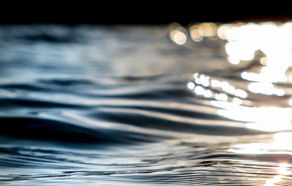 Ransom died after swimming across a lake. Credit: Alessandro Licata / Getty