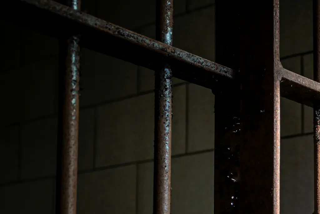 The alleged captor has been detained after trying to flee. Credit: Marcia Straub / Getty
