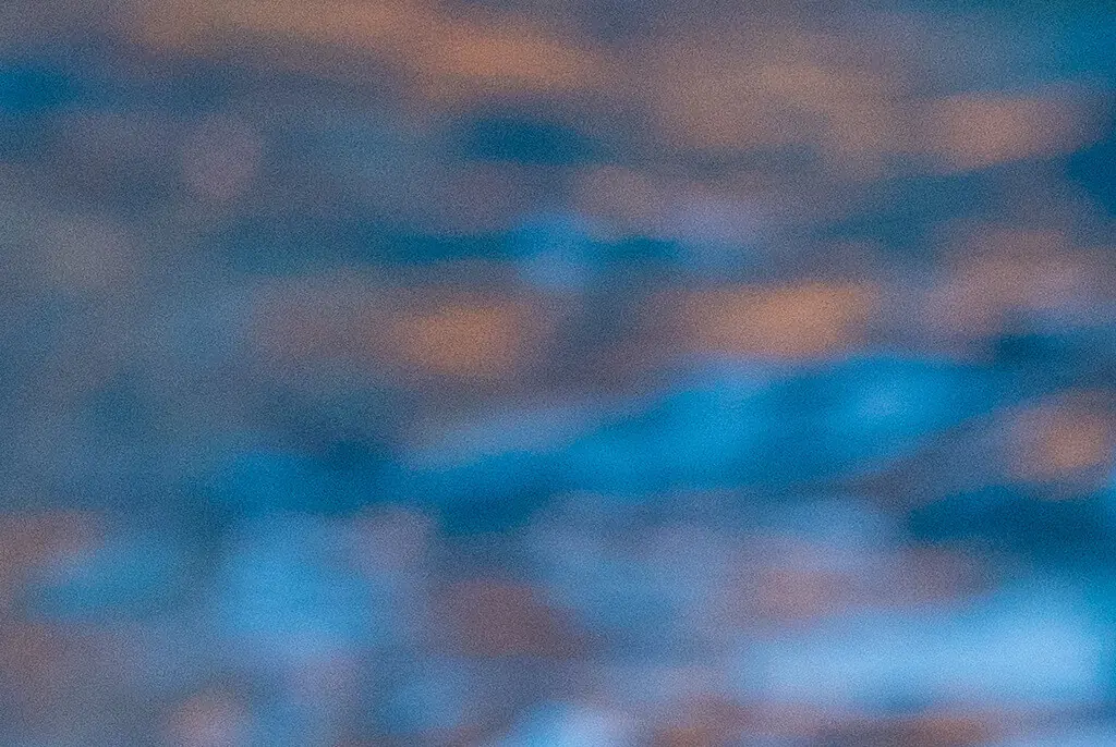 Trainer’s horrific death as SeaWorld-owned orca crushed him and ‘violently played with his body’