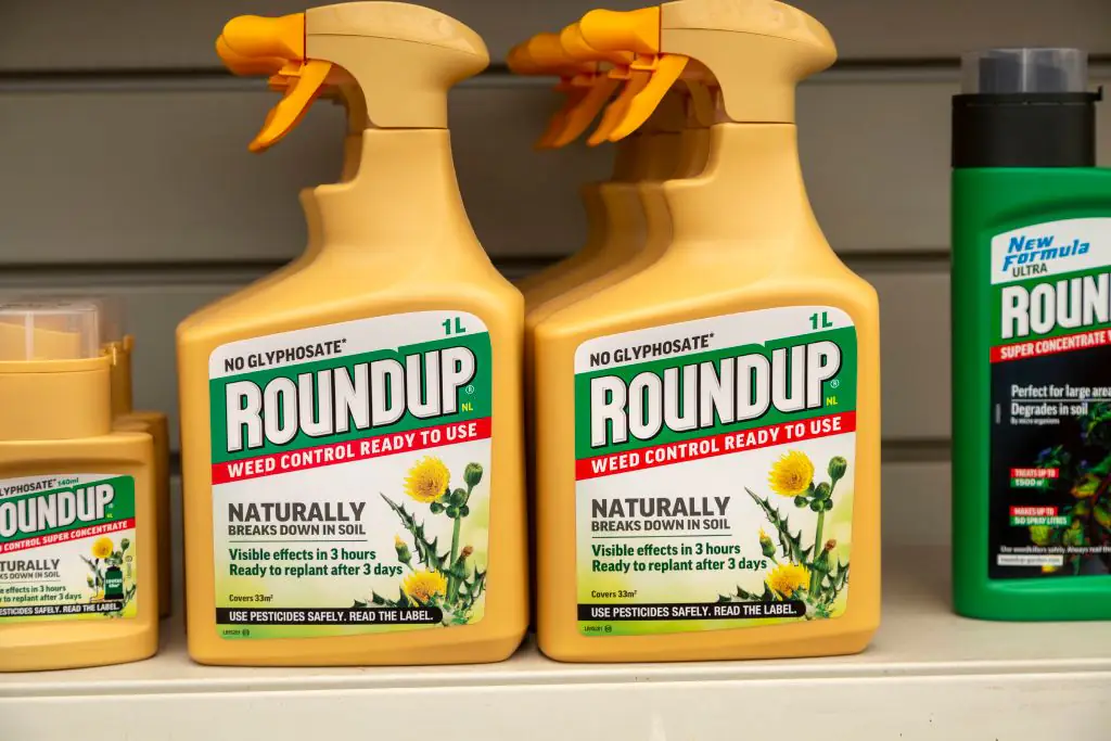 She is accused of having put Roundup in the bottles of soda. Credit: Geography Photos/Education Images/Universal Images Group via Getty Images