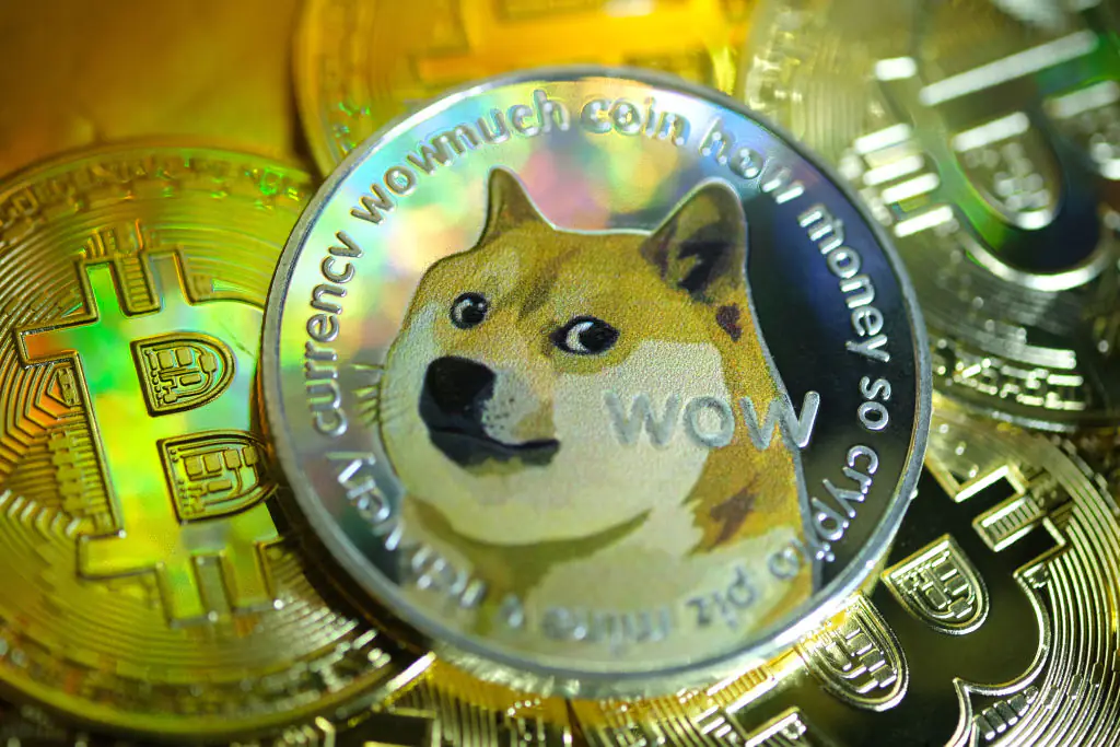 Kabosu became a cryptocurrency. Credit: Yuriko Nakao/Getty