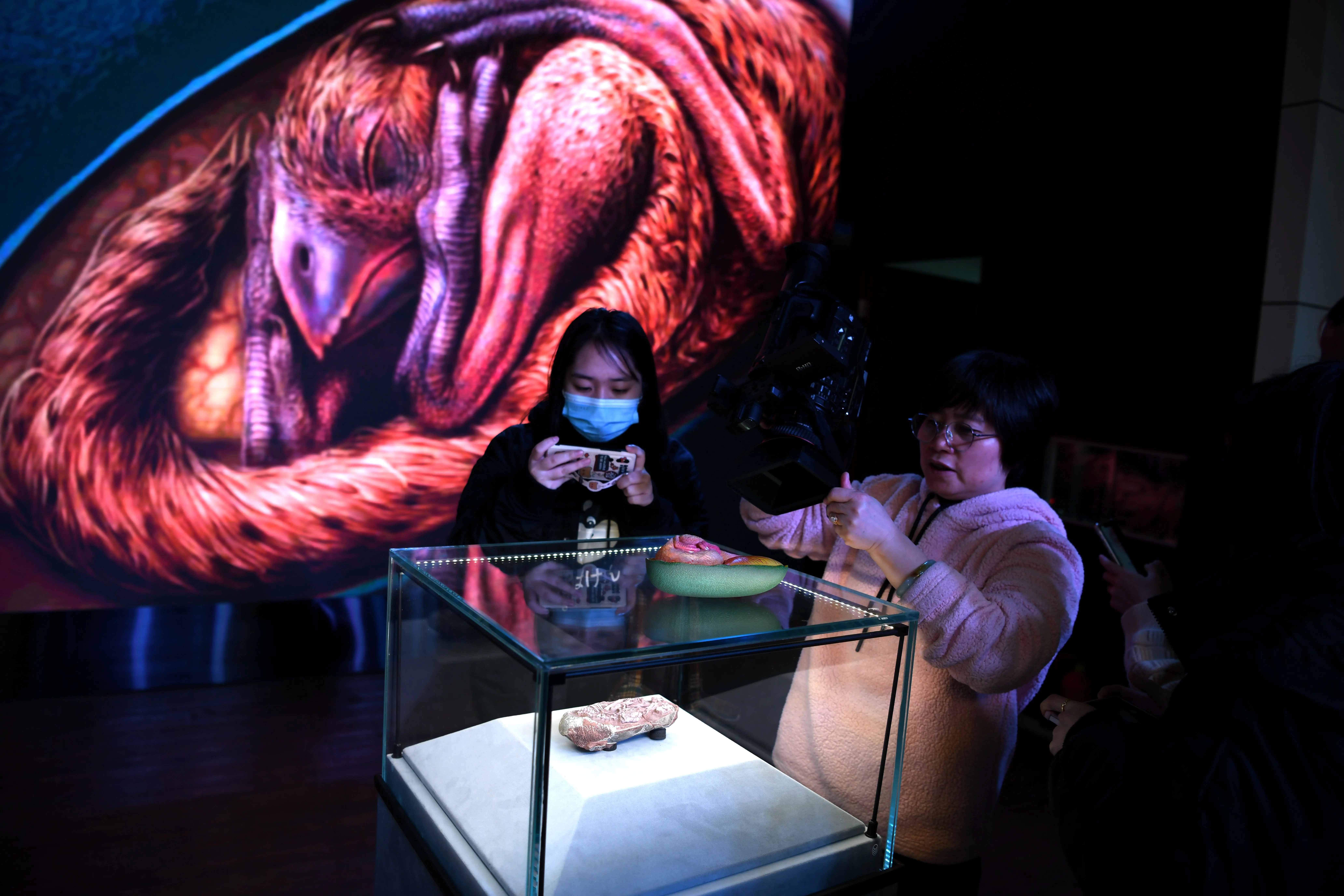 Guests amazed at the fossilized oviraptorosaur egg with embryo 'Baby Yingliang'. Credit: China News Service / Getty