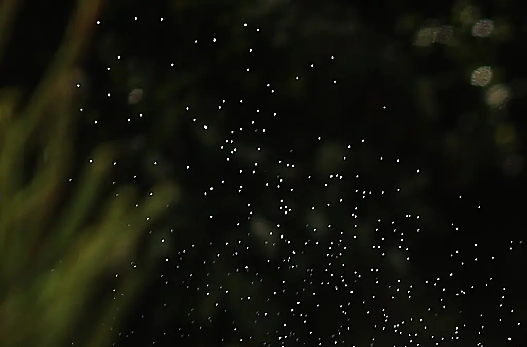 Husband of Olympian Georgie Campbell posts emotional tribute after her death