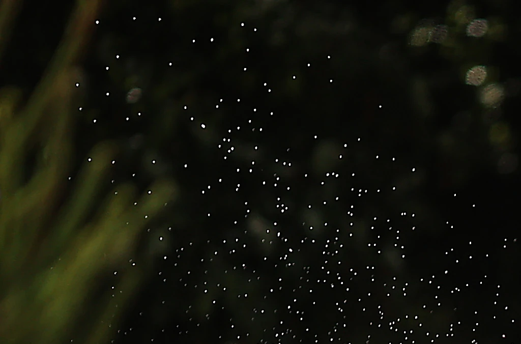 Husband of Olympian Georgie Campbell posts emotional tribute after her death