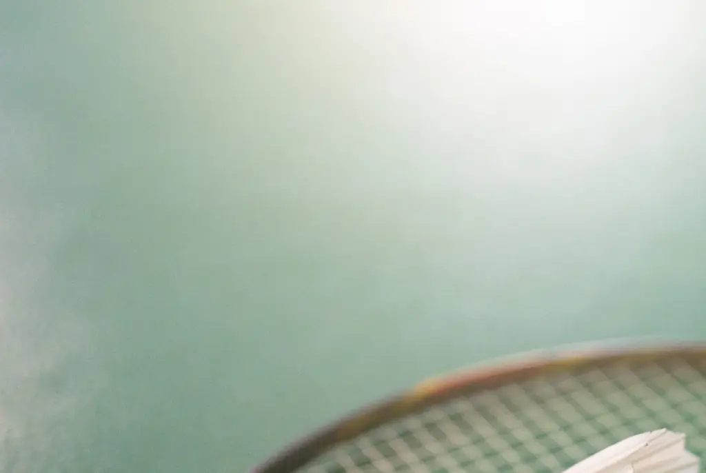 Six-year-old girl is killed in freak badminton accident involving broken racket