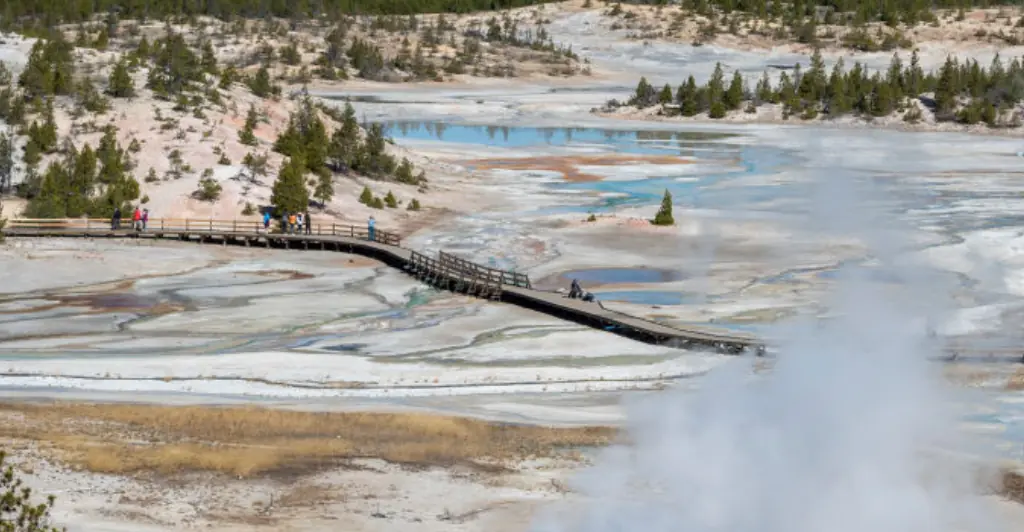 Tragic last moments of man recorded before he dipped finger in Yellowstone hot spring, accidentally fell in and dissolved within a day
