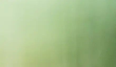 People left stumped after trying to spot the snow leopard in stunning photo: 'Do I need to get my eyes checked?'