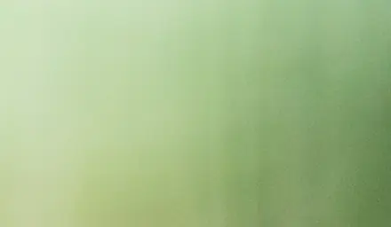 People left stumped after trying to spot the snow leopard in stunning photo: 'Do I need to get my eyes checked?'