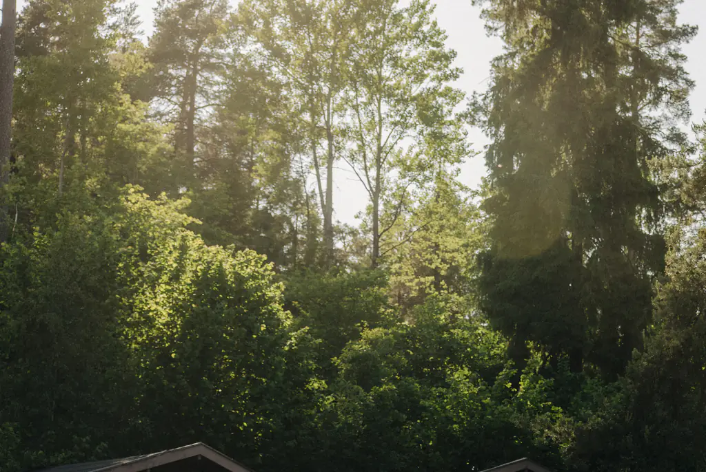 Michael Stewart, from Lumberton, New Jersey, was discovered unresponsive in a shallow pool at Liberty Lake Day Camp around 2PM on Monday (Stock photo). Credit: Maskot / Getty