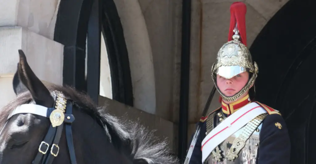 Tourist 'faints' after being bitten by King's Guard horse... right in front of sign warning tourists that King's Guard horses may bite