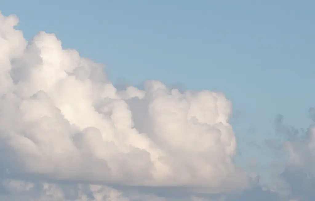 Passenger confirmed dead after going overboard the world’s largest cruise ship