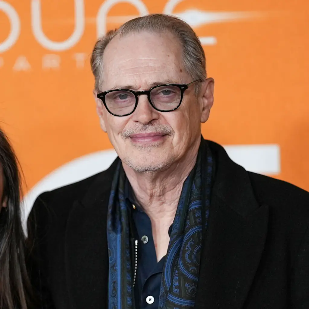 A suspect struck the Boardwalk Empire star in a broad-daylight attack. Credit: John Nacion / Getty