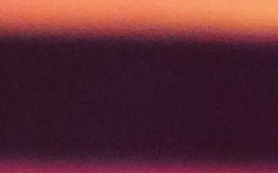 Eurovision viewers stunned after seeing contestant ‘with p*nis out’ during live performance