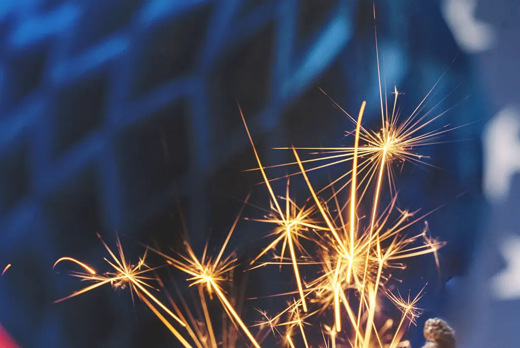 McGrew was said to have been a big fan of July 4 celebrations. Credit: Tatiana Sviridova/Getty Images 