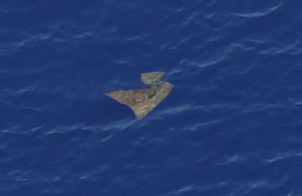 The search for the missing aircraft continues. Credit: Pool / Getty
