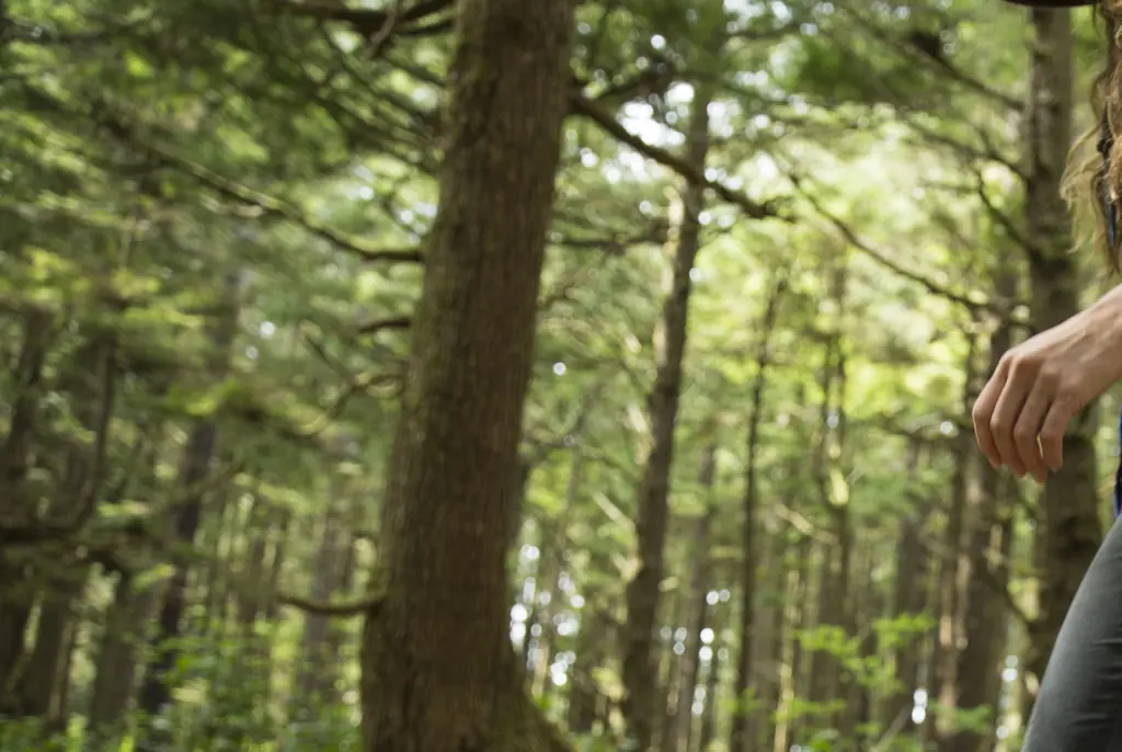 Hiker found alive after going missing for 10 days reveals how he survived