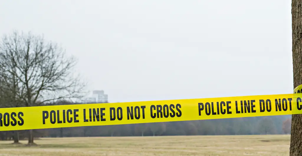 8 people are shot, including 4-year-old child, in 'random attack' at Michigan water park