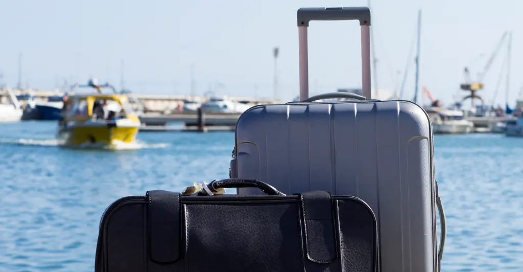 Outraged passenger claims cruise line dropped her luggage into the ocean