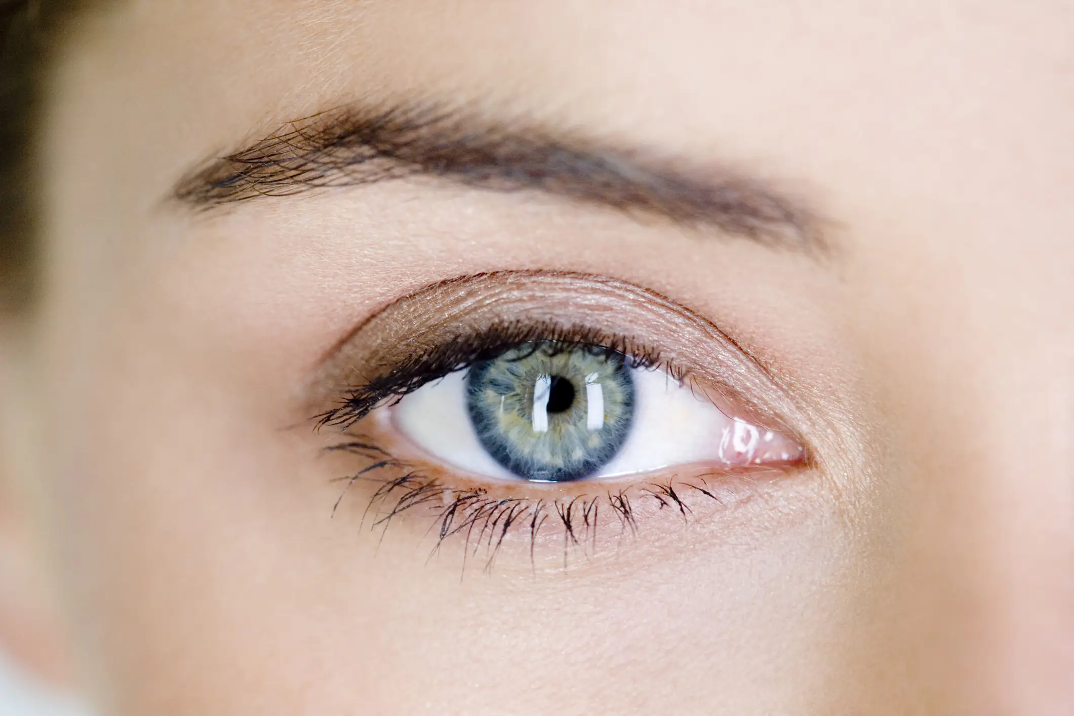 All blue-eyed people share the same common ancestor, researchers find