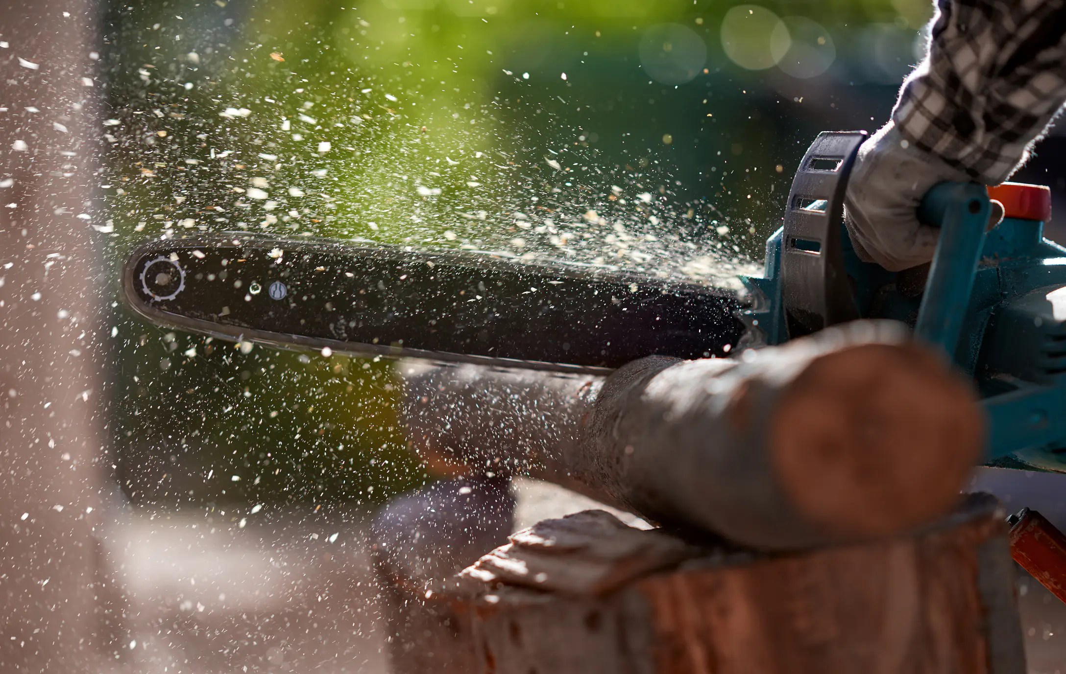 People left creeped out and full of regret after googling 'why chainsaws were invented'